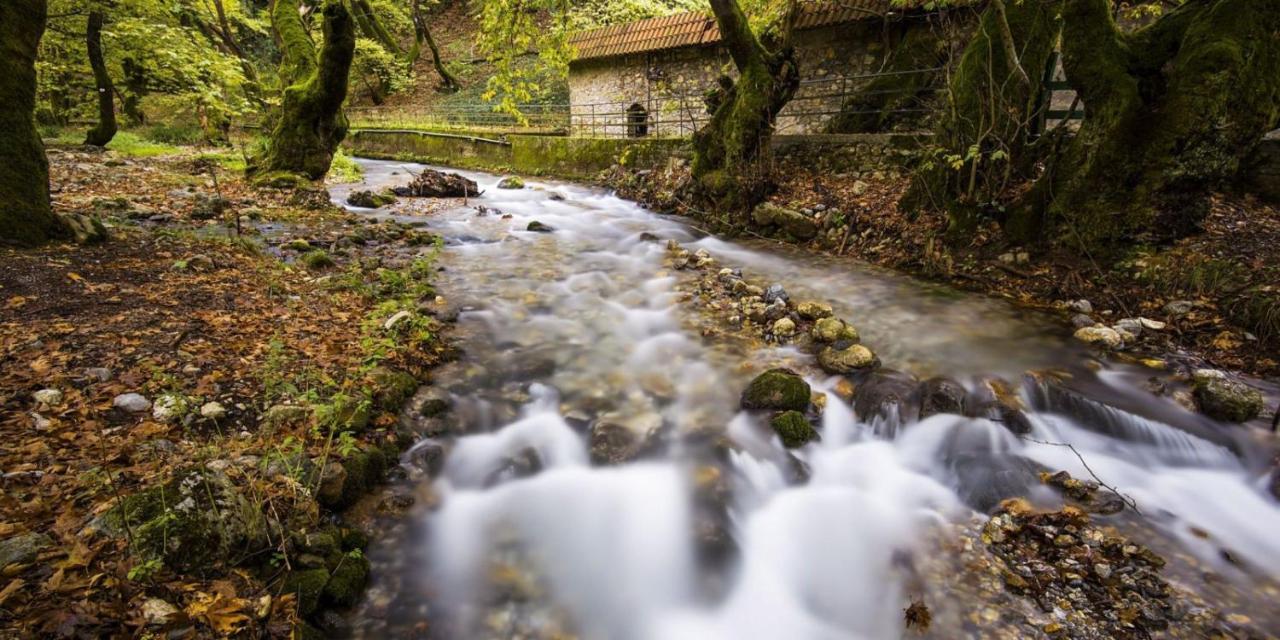 Meliti Guesthouse Akrata Esterno foto